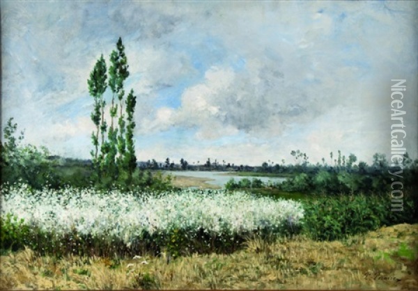 Paysage Au Champs De Fleurs Oil Painting - Paul Emmanuel Peraire