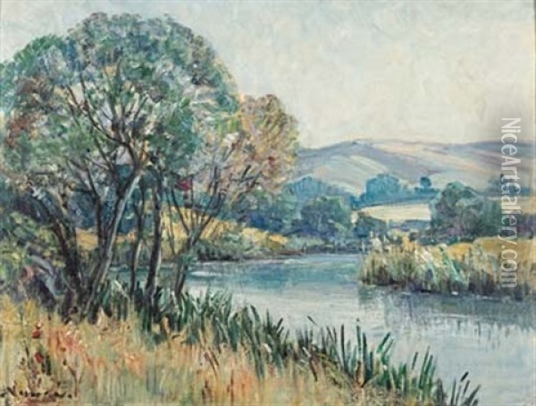 Umgeni River, Natal Oil Painting - Pieter Hugo Naude