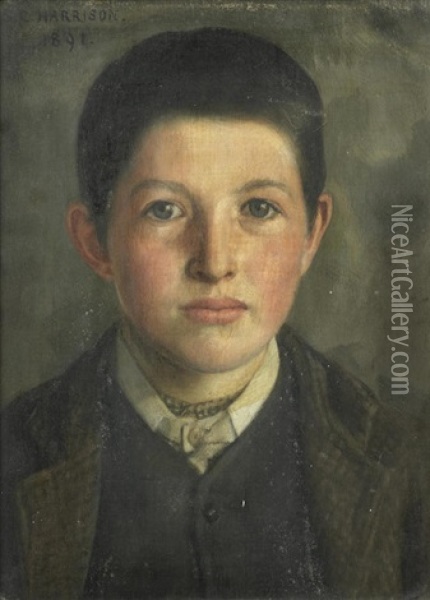 Portrait Of A Young Boy Oil Painting - Sarah Cecilia Harrison
