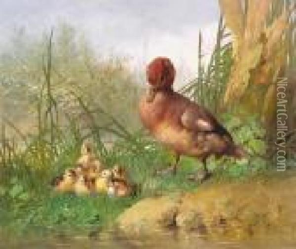 A Duck And Her Chicks By Ariver Oil Painting - Narcisse Vivien