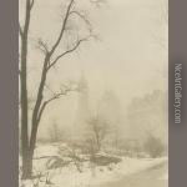 Across Central Park Oil Painting - Jessie Tarbox Beals