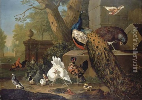 A Peacock And Peahen, Cockerels, Hens, A Pigeon And Other Birds In An Ornamental Park Oil Painting - Pieter Casteels III