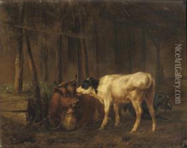 Cattle In The Stable Oil Painting - Jan Bedijs Tom