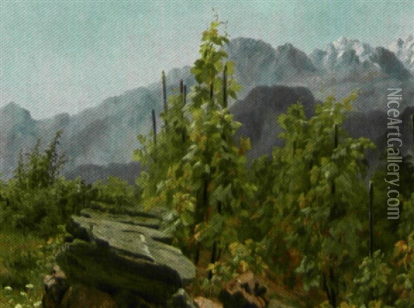 Vingard I Alperne Med Udsigt Over Bjergene Oil Painting - Anthonie Eleonore (Anthonore) Christensen
