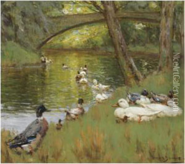 Ducks At The Bend Of The River Oil Painting - Patrick Downie