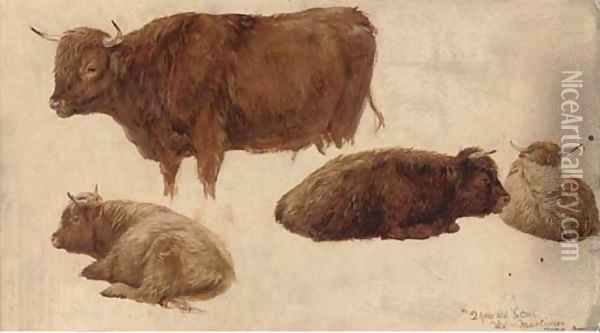 Highland cattle studies Oil Painting - James Lawton Wingate