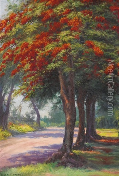 Jacaranda Tree Oil Painting - Helen Thomas Dranga