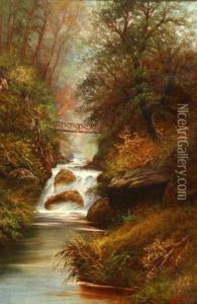 Forest Scene With Cascading Stream Oil Painting - William Miller