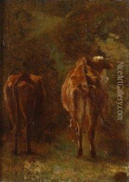 Etude De Vaches Oil Painting - Constant Troyon