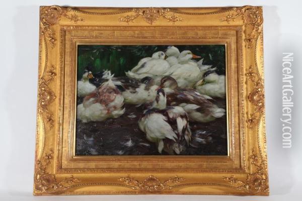 Duck Scene Oil Painting - Alexander Max Koester