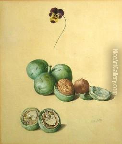 A Study Of Walnuts Oil Painting - Franz Xaver Petter
