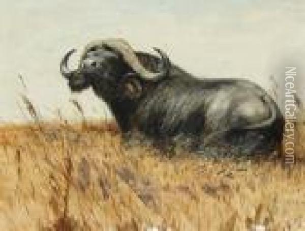 Kaffernbuffel Oil Painting - Wilhelm Kuhnert