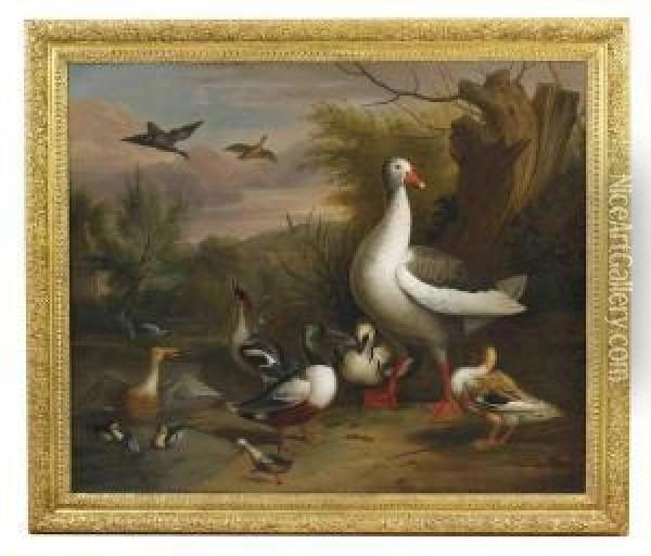 A Goose, Eider, Grebe And Other Fowl Beside A Pond Oil Painting - Jakob Bogdani Eperjes C
