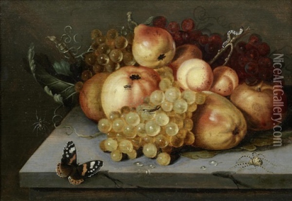 Apples, Grapes, Pears And Apricots On A Stone Ledge With A Butterfly And Spiders Nearby Oil Painting - Jacob Woutersz Vosmaer