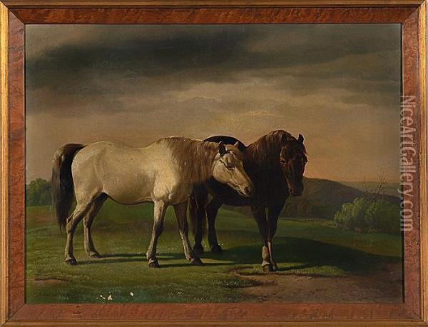 Two Welsh Ponies Oil Painting - Francis Daniel Devlan