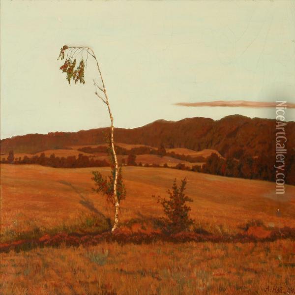 Moor Landscape Oil Painting - Axel Hou