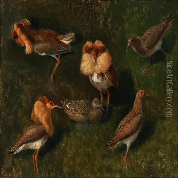 Ruffs And Chicken Oil Painting - Niels Peter Rasmussen