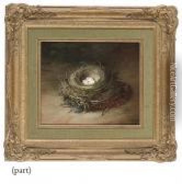 A Bird's Nest With Green Eggs On
 A Sandy Bank; And A Bird's Nest With White Speckled Eggs On A Sandy 
Bank Oil Painting - Abel Hold