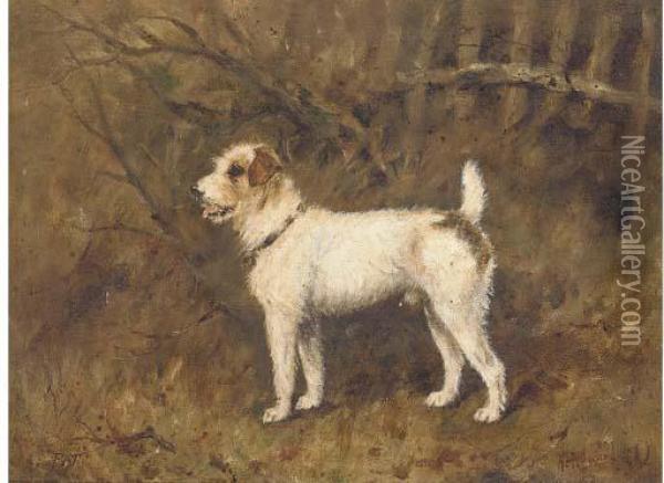Pat, A Wire Haired Terrier Oil Painting - Henry Frederick Lucas-Lucas