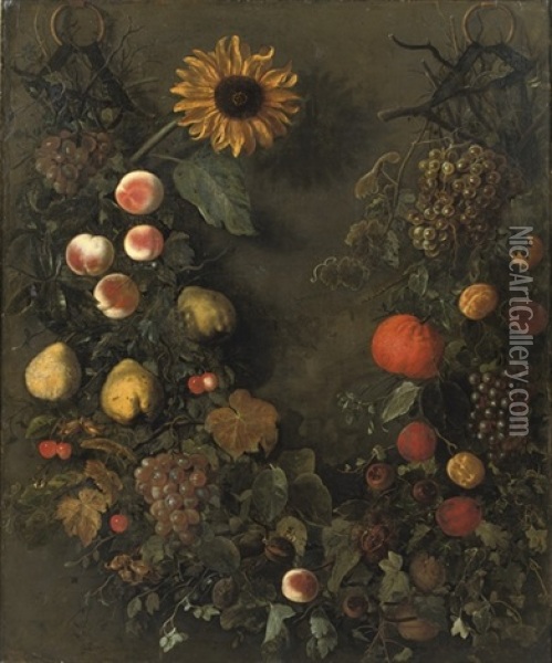 A Fruit Garland With Grapes, Peaches, Mandarins, Cherries, Pears And Other Fruit Oil Painting - Cornelis Kick