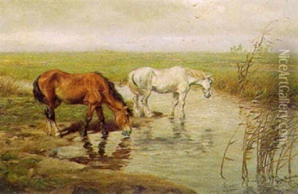 Pferde An Der Tranke Oil Painting - Diederik (Dirk) Meesters
