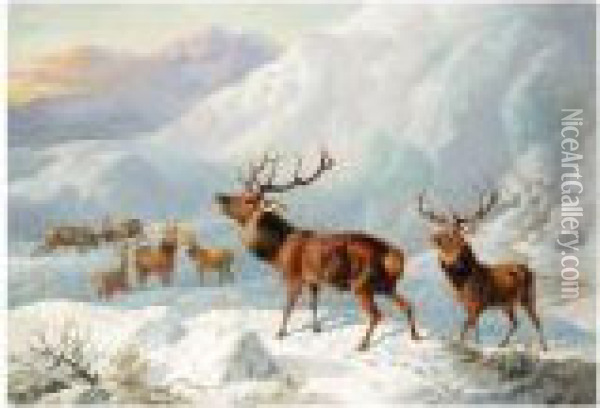 Stags In Highland Snow Oil Painting - Byron Webb