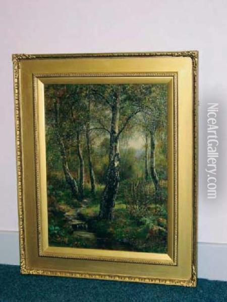 Stream In Wooded Landscape Oil Painting - Florence Fitzgerald