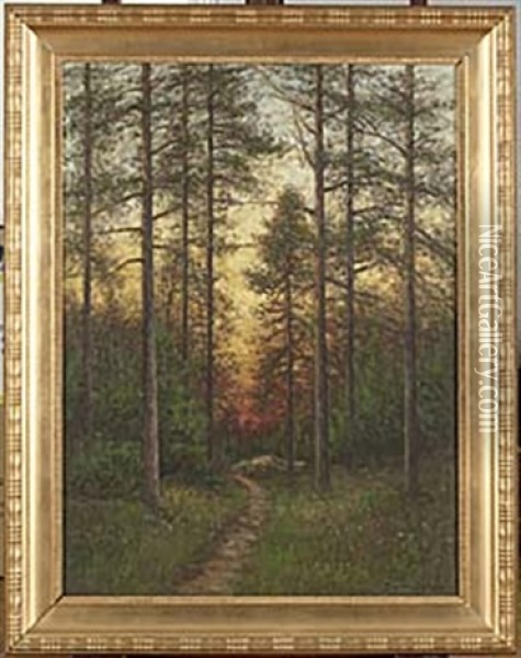 Skogsglanta Oil Painting - Johan Severin Nilsson