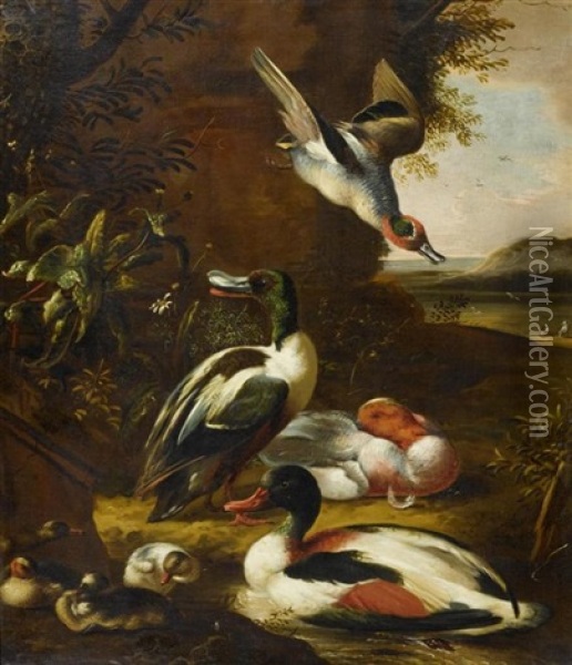 Landschaft Mit Vogelvieh Oil Painting - Adriaen van Oolen