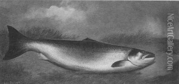 A Salmon On A Riverbank Oil Painting - John Bucknell Russell