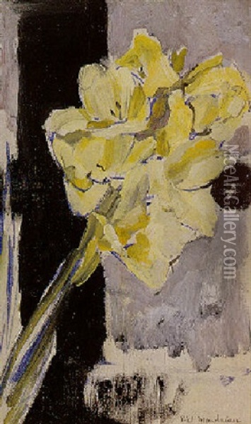 Gladiola Oil Painting - Piet Mondrian