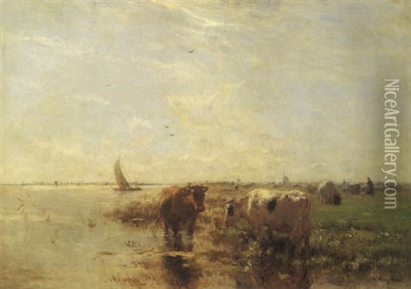 An Extensive River Scene With Cattle Watering In The Foreground Oil Painting - Willem Maris