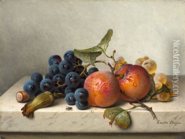 Fruchtestilleben Mit Blauen Und Weissen Weintrauben, Zwei Aprikosen Am Zweig Und Zwei Haselnussen Oil Painting - Emilie Preyer