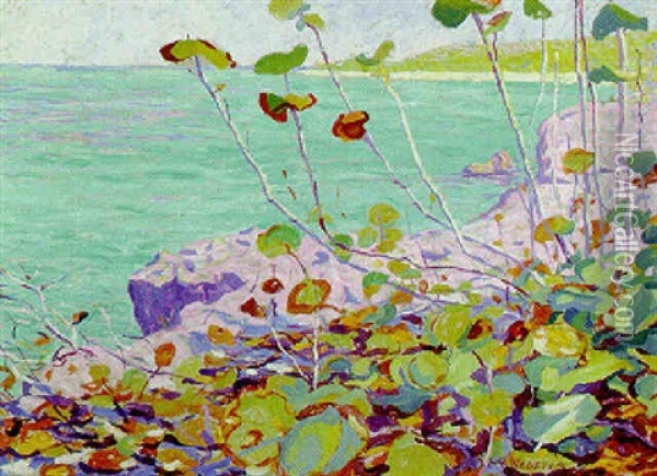 Wild Grape, Bermuda Oil Painting - E. Ambrose Webster