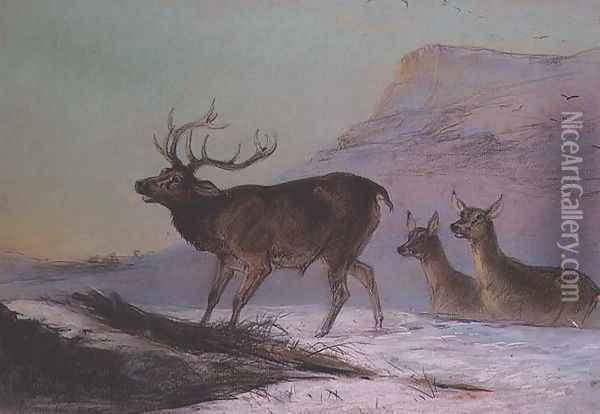 Winter Oil Painting - Edward Robert Smythe