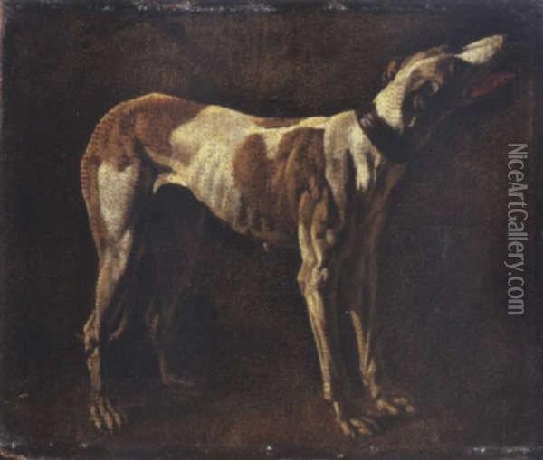 A Greyhound Oil Painting - Pieter Jacobsz. van Laer