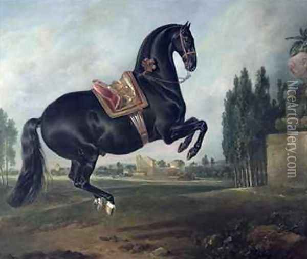 A black horse performing the Courbette 2 Oil Painting - Johann Georg Hamilton