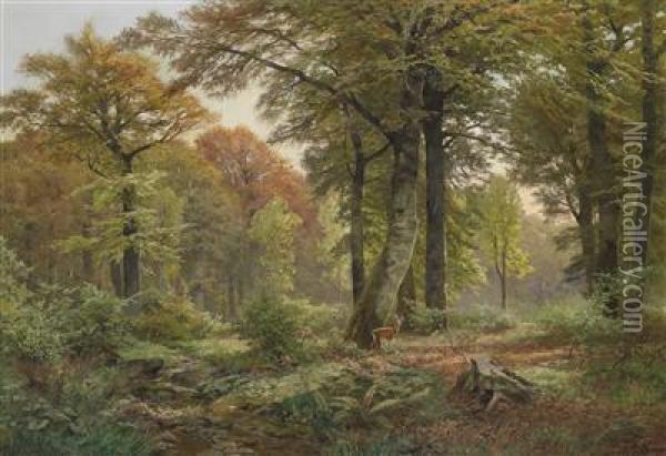 Small Woodland Clearing With Roe Deer Oil Painting - Heinrich Bohmer