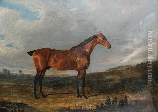 A Horse, Thought To Be Called Thyrsis, In Alandscape Oil Painting - John Frederick Herring Snr