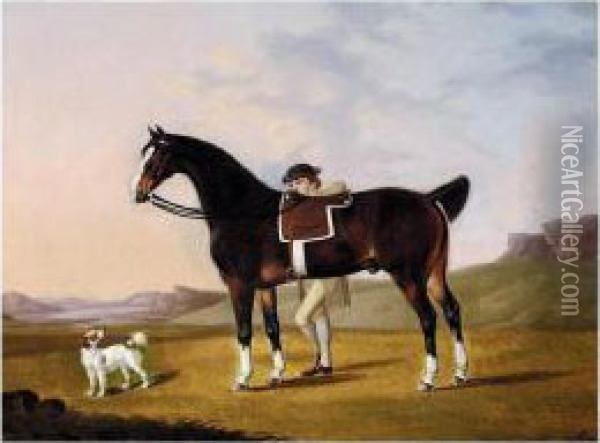 A Gentleman With A Bay Hunter And Spaniel In A Coastal Landscape Oil Painting - Francis Stringer