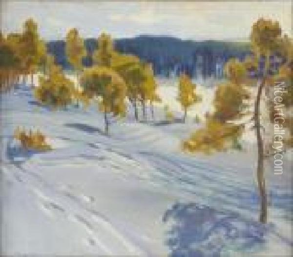Aurinkoinen Talvipaiva. Oil Painting - Alex Rapp