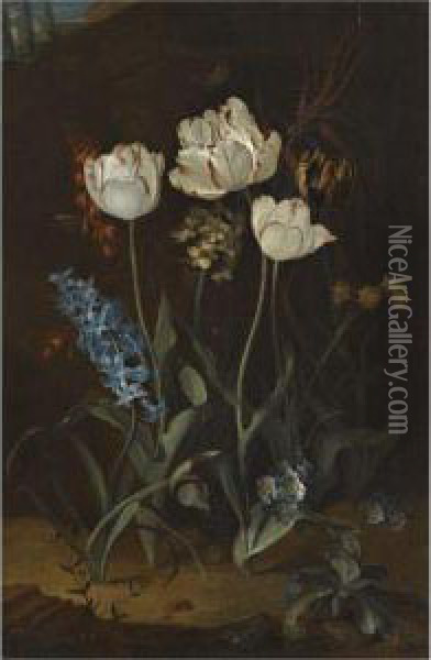 Still Life With Tulips And Hyacinth Oil Painting - Coenraet Roepel