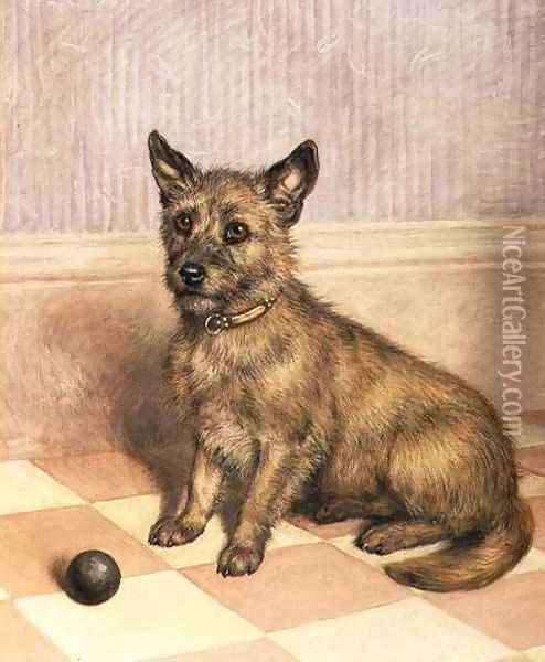 Waiting to Play, a Cairn terrier with a ball Oil Painting - Frank Paton