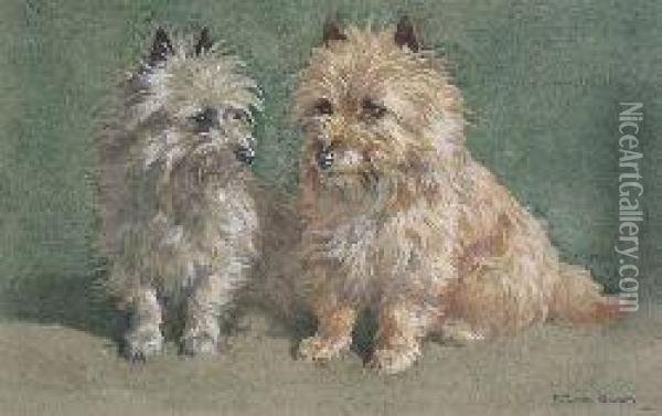 Study Of Two Cairn Terriers Oil Painting - J. Murray