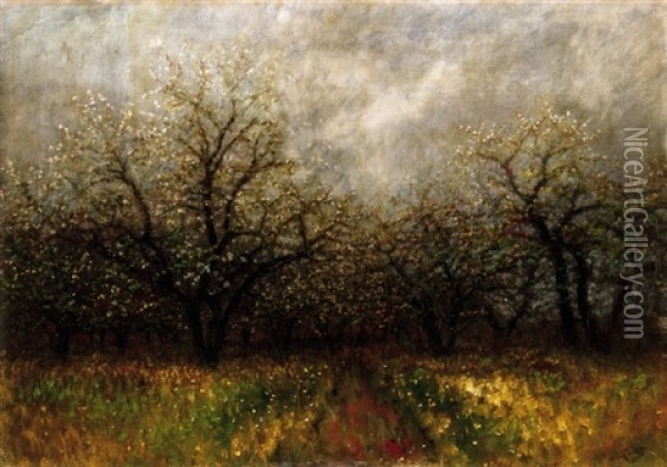 Viragzo Fak - Tavasz (blooming Trees - Spring) Oil Painting - Laszlo Mednyanszky