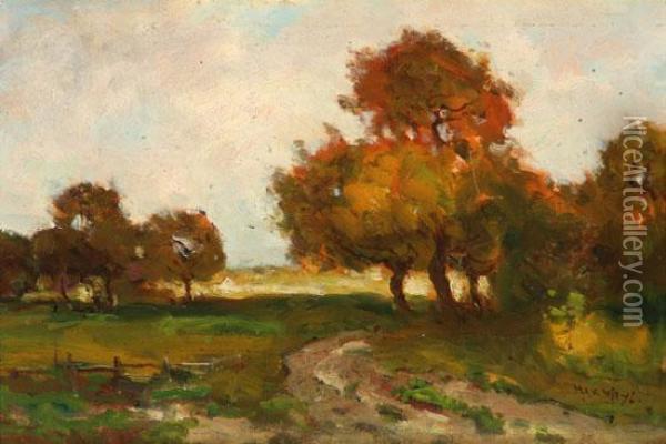 Springtime In The Woods Oil Painting - Max Weyl