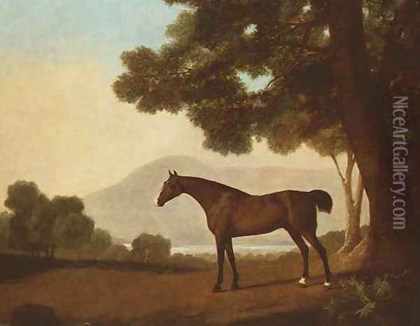Johnny, a bay stallion in a wooded landscape Oil Painting - George Stubbs