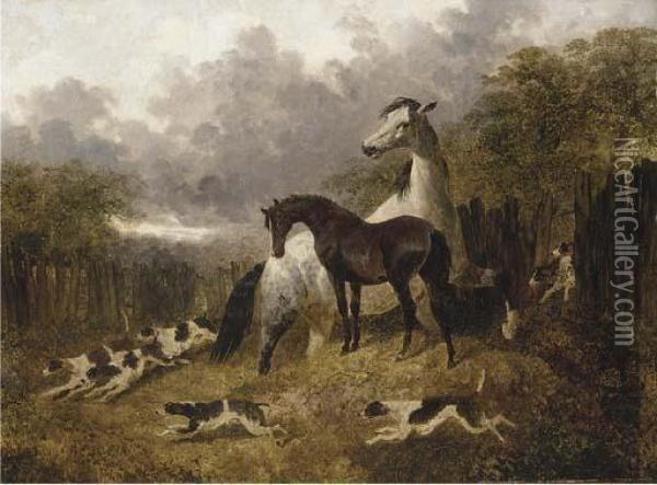 A Mare And Foal With A Pack Of Hounds Oil Painting - John Frederick Herring Snr