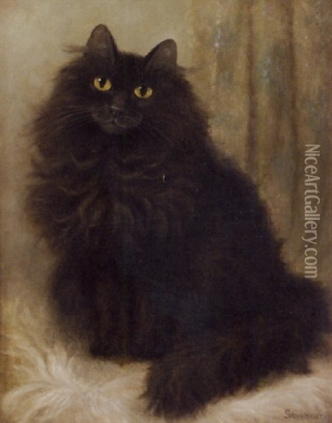 The Artist's Cat Oil Painting - Percy A. Sanborn