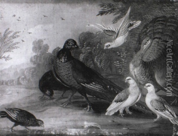A Peacock, A Pheasant And Other Birds In A Landscape Oil Painting - Marmaduke Cradock